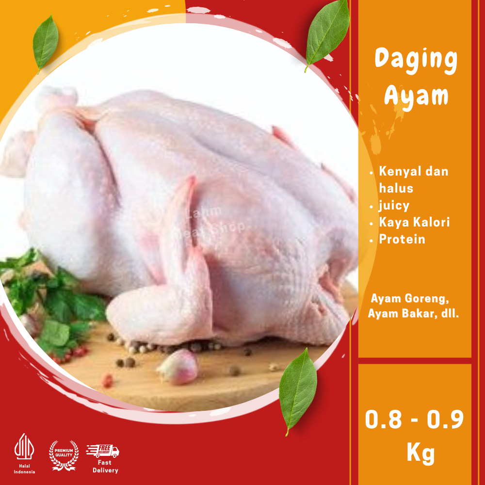 

Ayam Broiler Karkas / ayam potong ukuran 0,8 - 0,9 kg