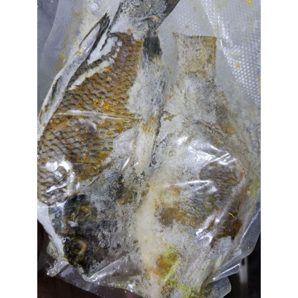 

Ikan Nila Marinasi