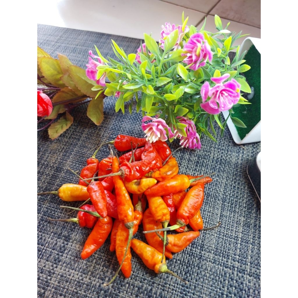 

Cabe Rawit Merah Segar 250gr Sayur Segar Bogor
