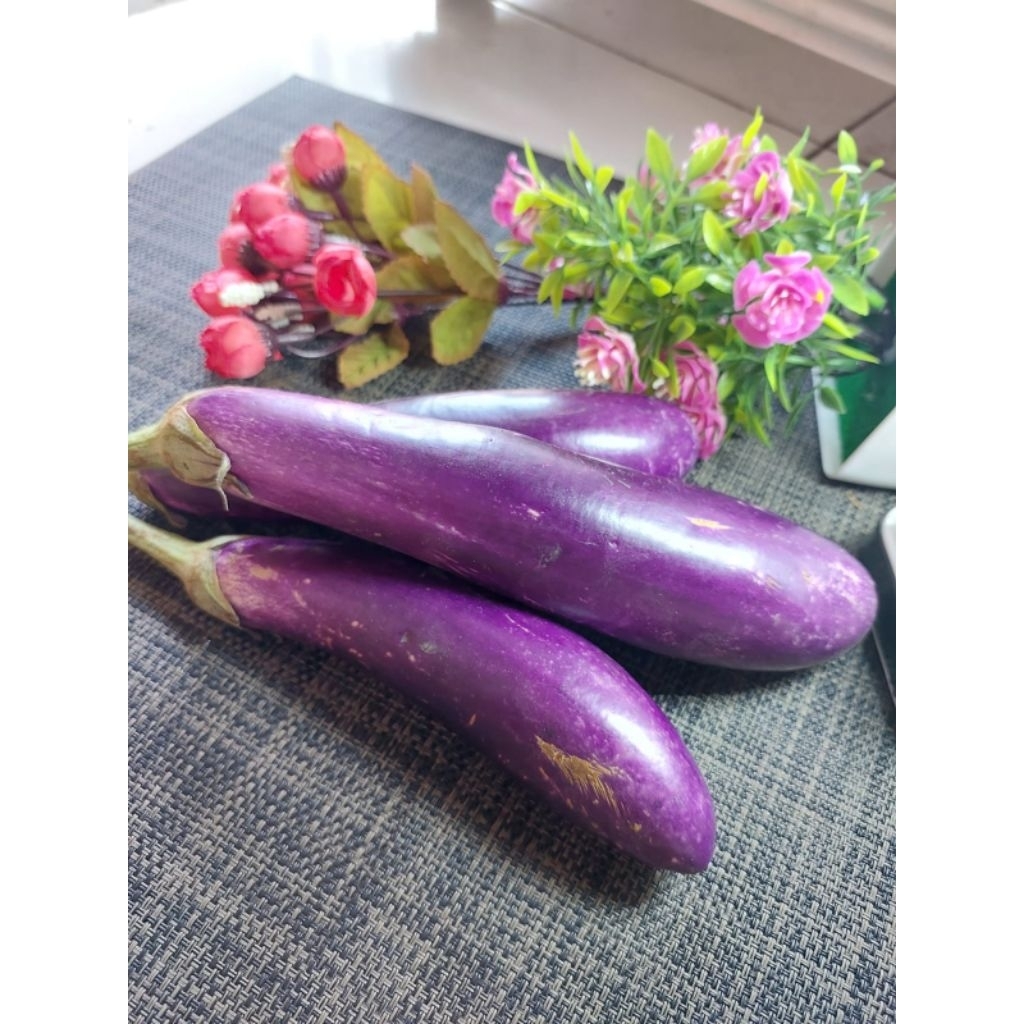 

Terong Ungu Segar 500gr Pengiriman Instan / Sayur Segar Bogor