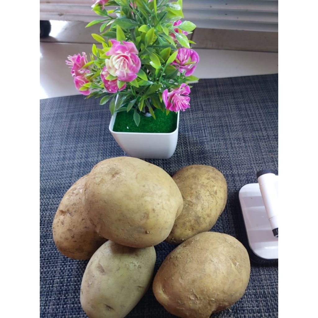 

Kentang Segar 500gr Kirim Instan