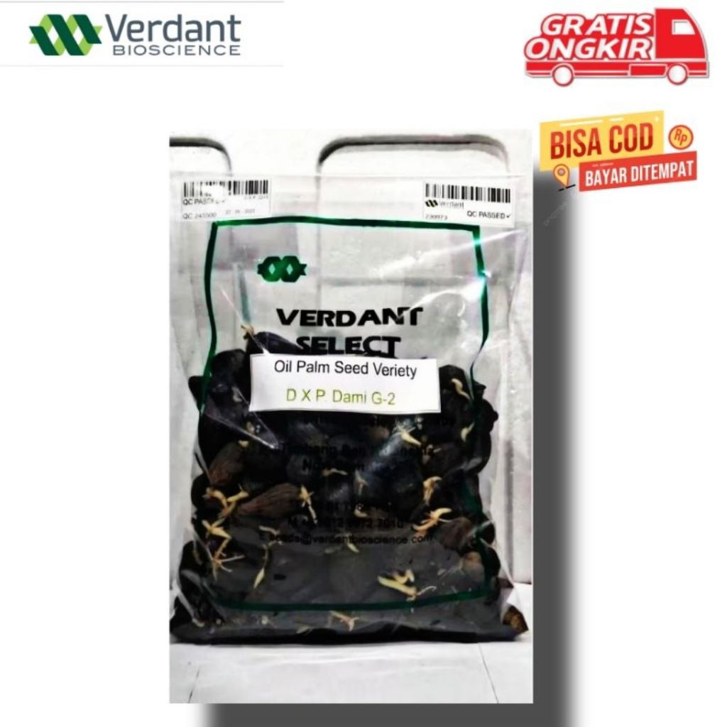 Ready Benih kecambah sawit VERDANT SELECT DxP DAMI G-2 ORIGINAL BENIH UNGGUL