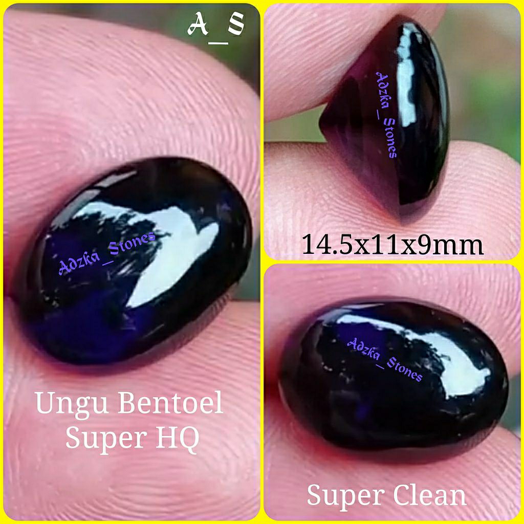 Kecubung Ungu Bentoel Kebiruan HQ