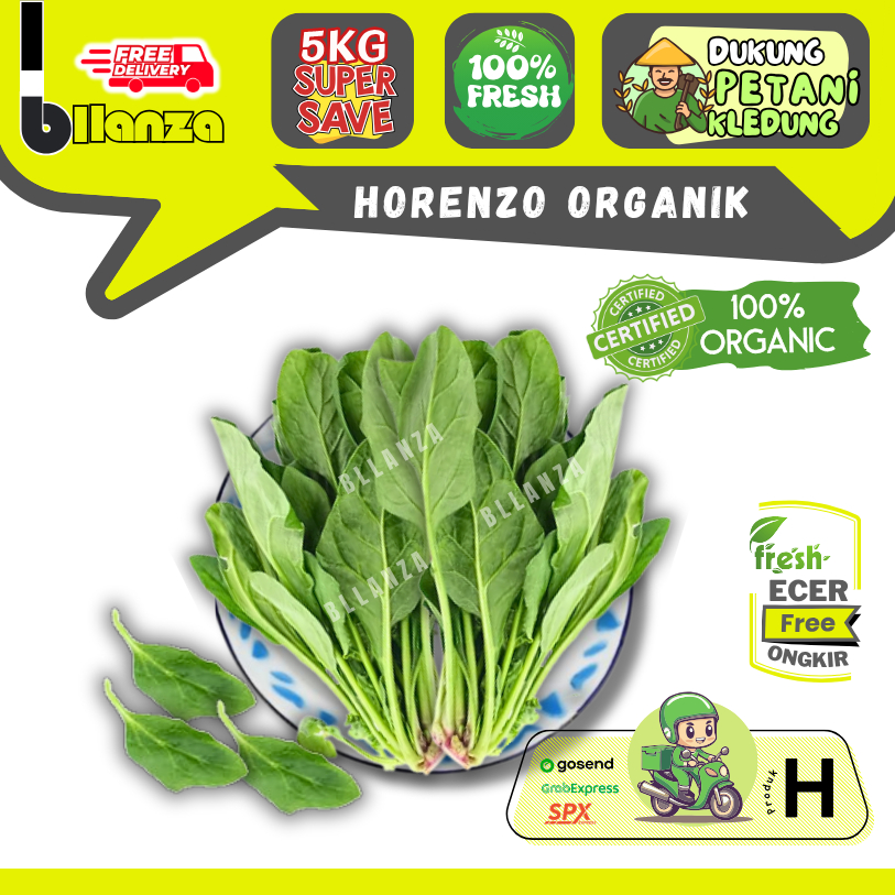 

Bllanza | Horenzo Organik — Sayur Gunung ECER (H)