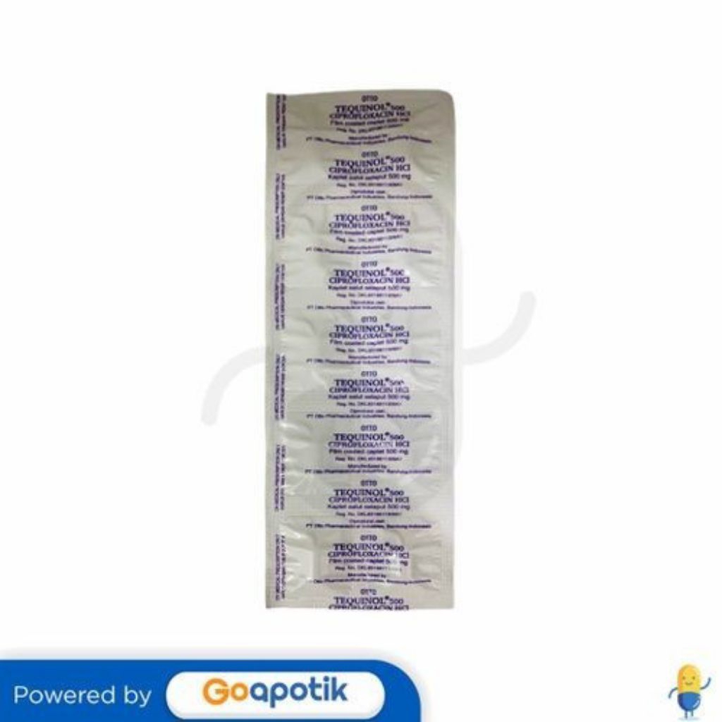 tequinol 500 kaplet 1strip 10 kapsul
