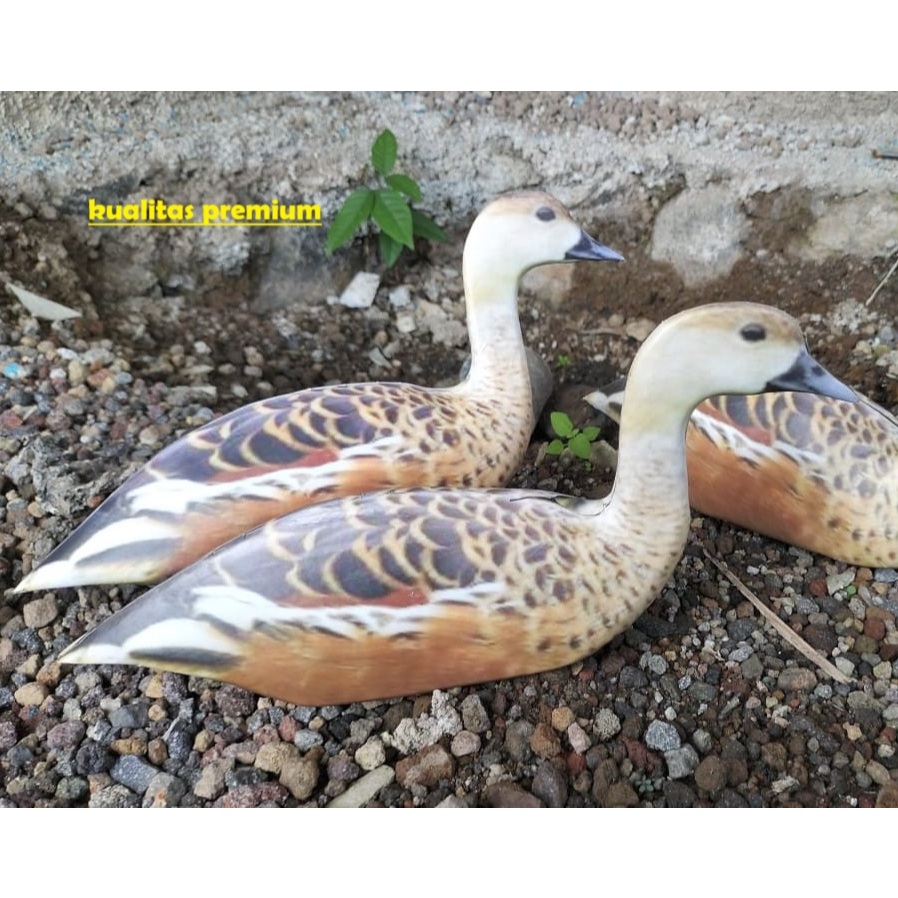 belibis kembang PATUNG BURUNG JONTROT BURUNG KOAK TOTOL PIKAT MANUK BELIBIS KEMBANG BELIBIS BATU JEB