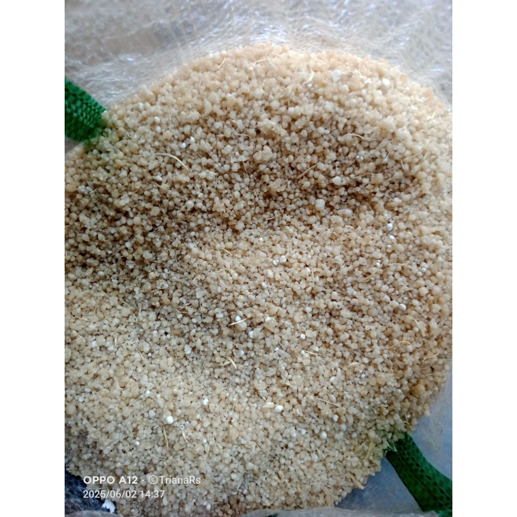 

Oyek singkong putih bersih anti bau | makanan kampung 1kg
