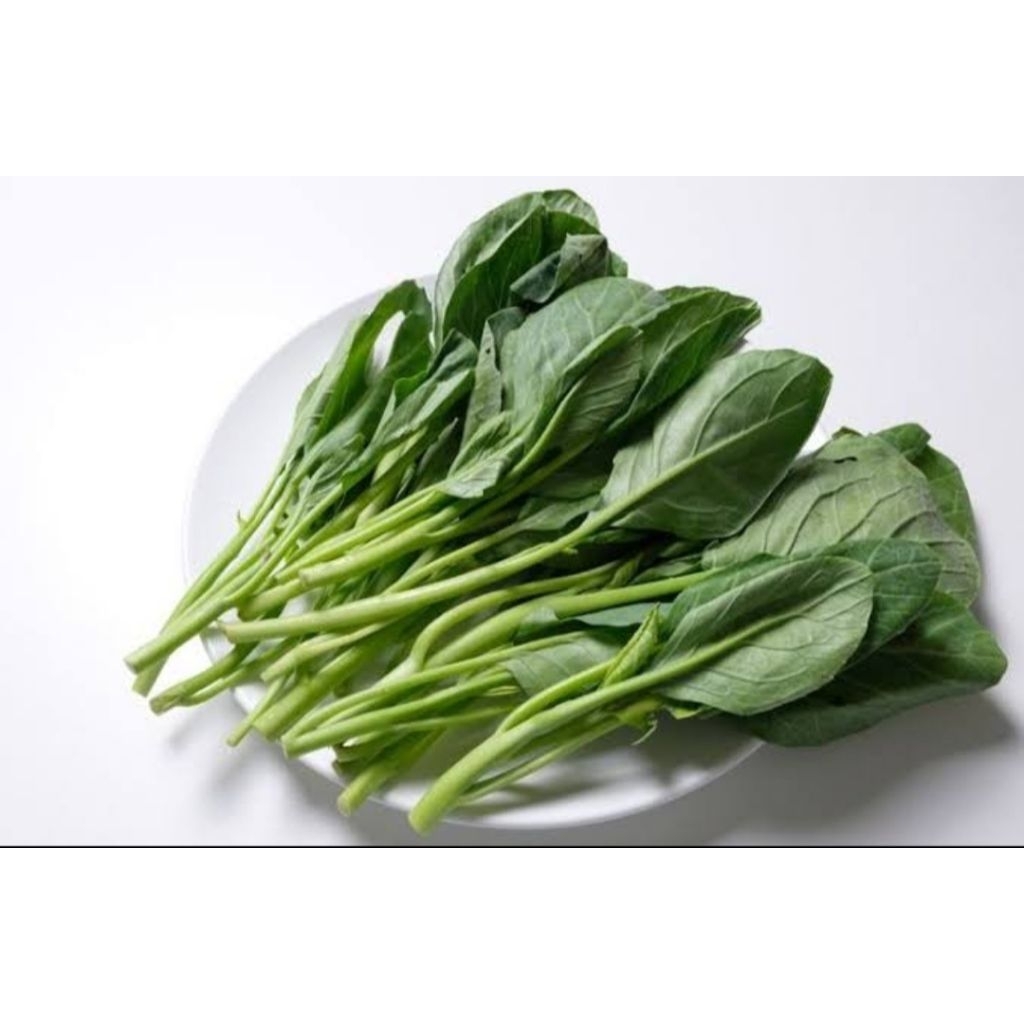 

Kailan Fresh Segar