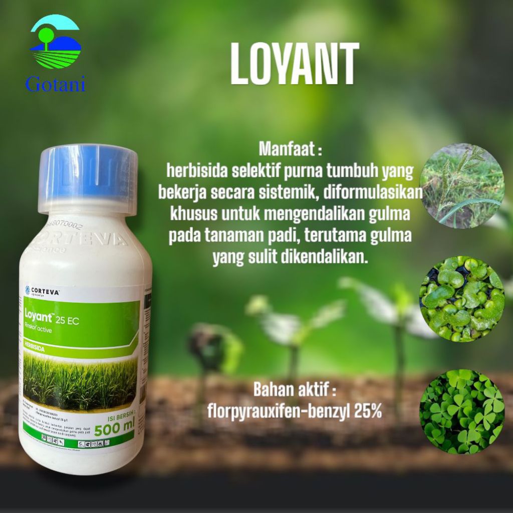 Herbisida LOYANT 25EC 500ML