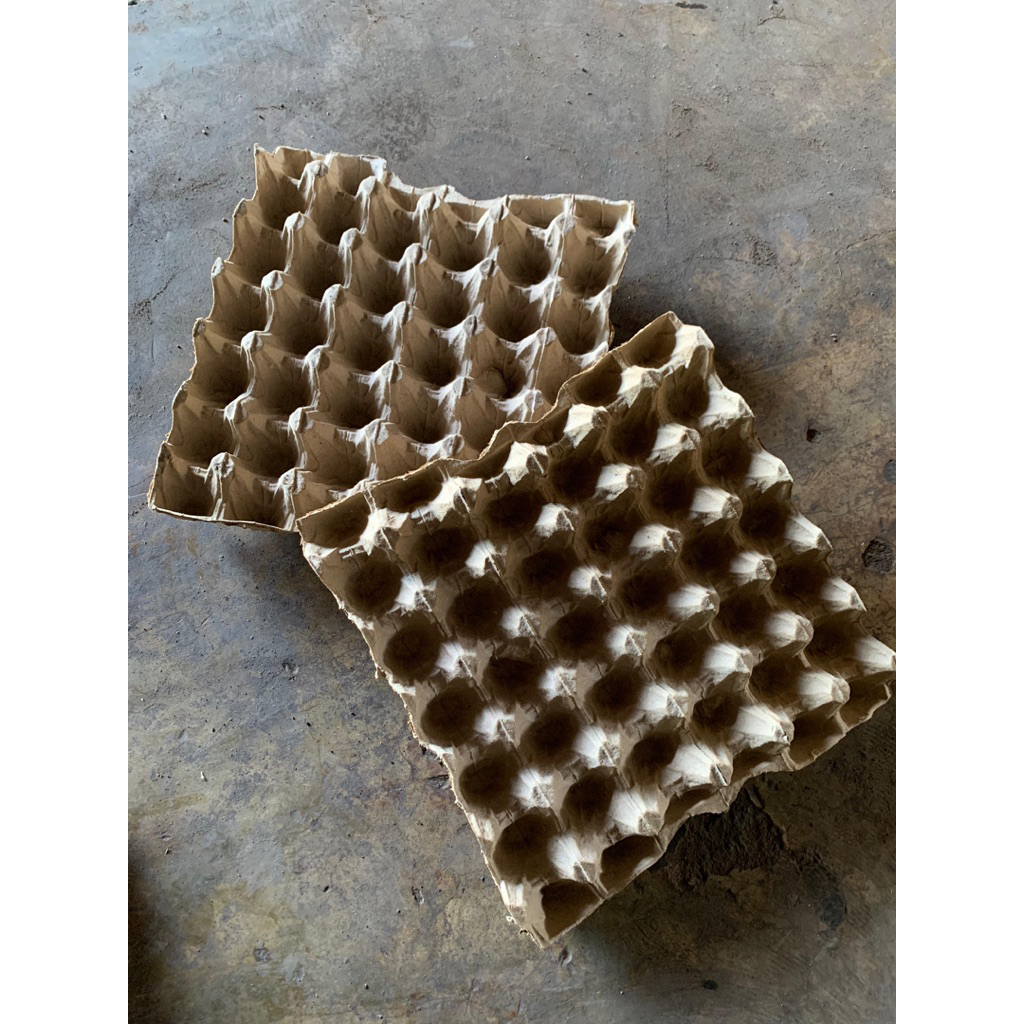 egg tray telur/ tray telur/ tempat telur per 1 pcs