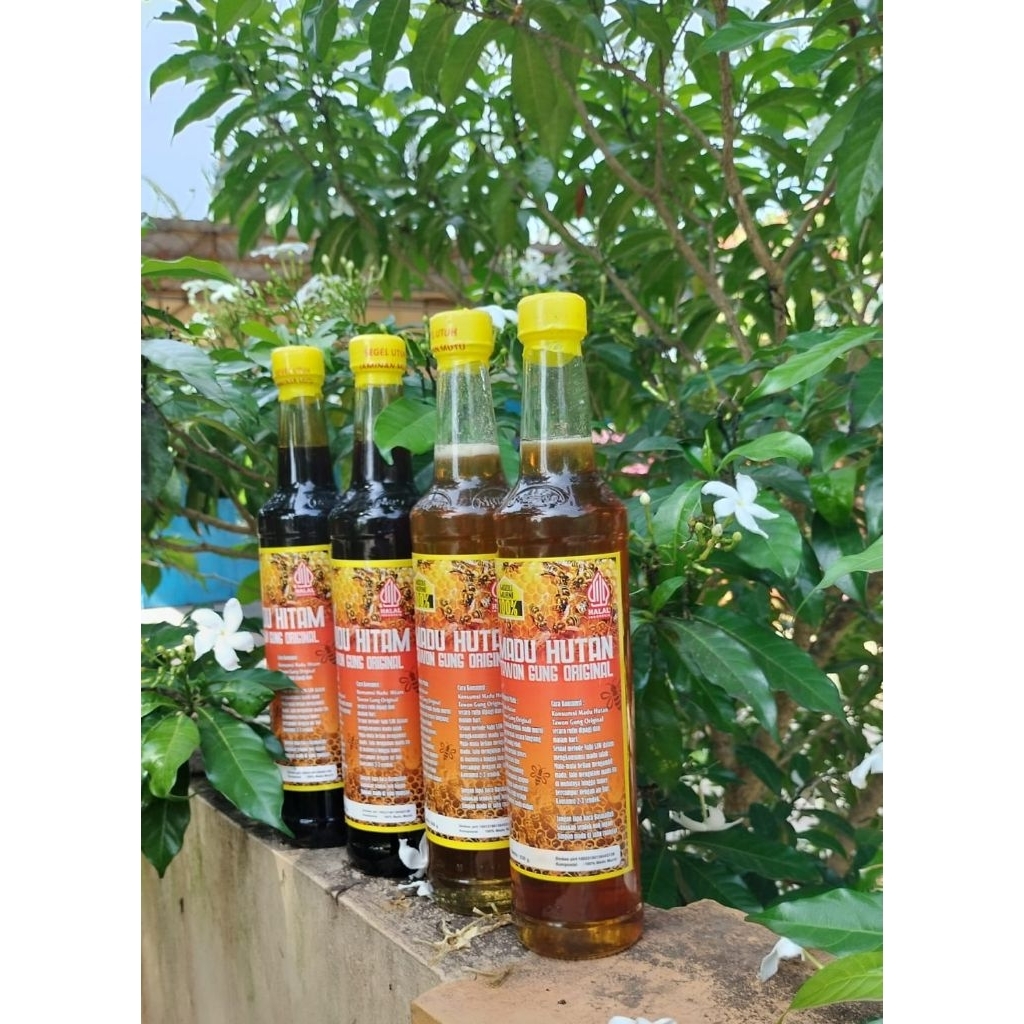 

Madu Murni Tawon gung