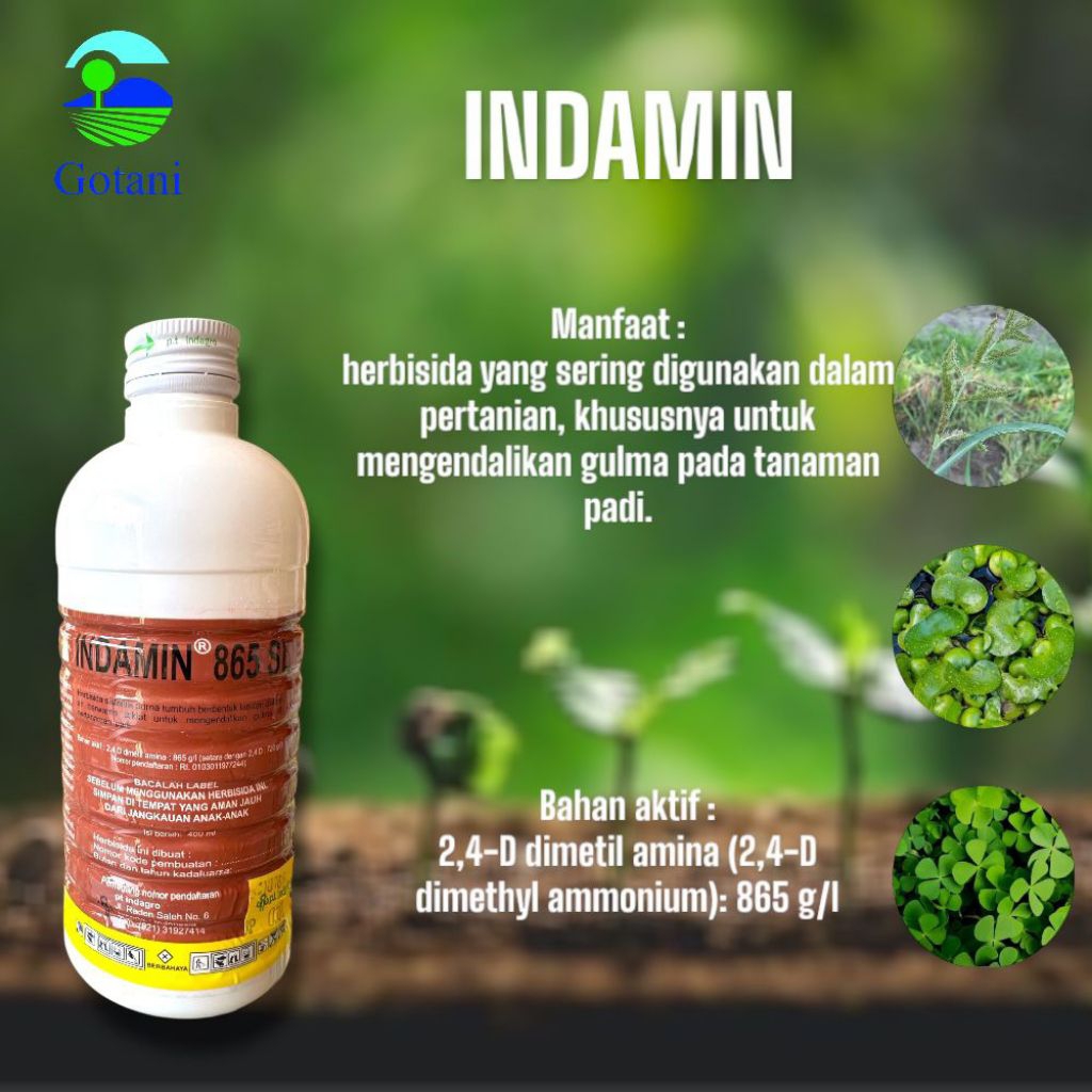 HERBISIDA PADI INDAMIN 865SL