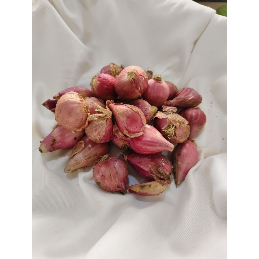 

Bawang merah