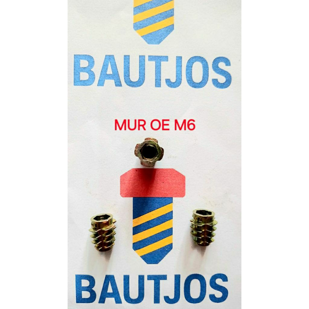 Mur Nanas M6 x 1.3cm OE (Tanpa Ring) / Mur Furniture Knockdown Tanam Nanas M6 x 1.3cm1. Biasa diguna