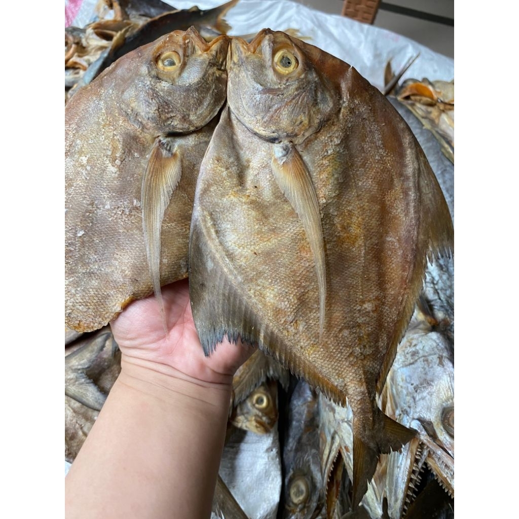 

iwak karing bawal 250grm asli tabanio di jamin segar paling murah pulang