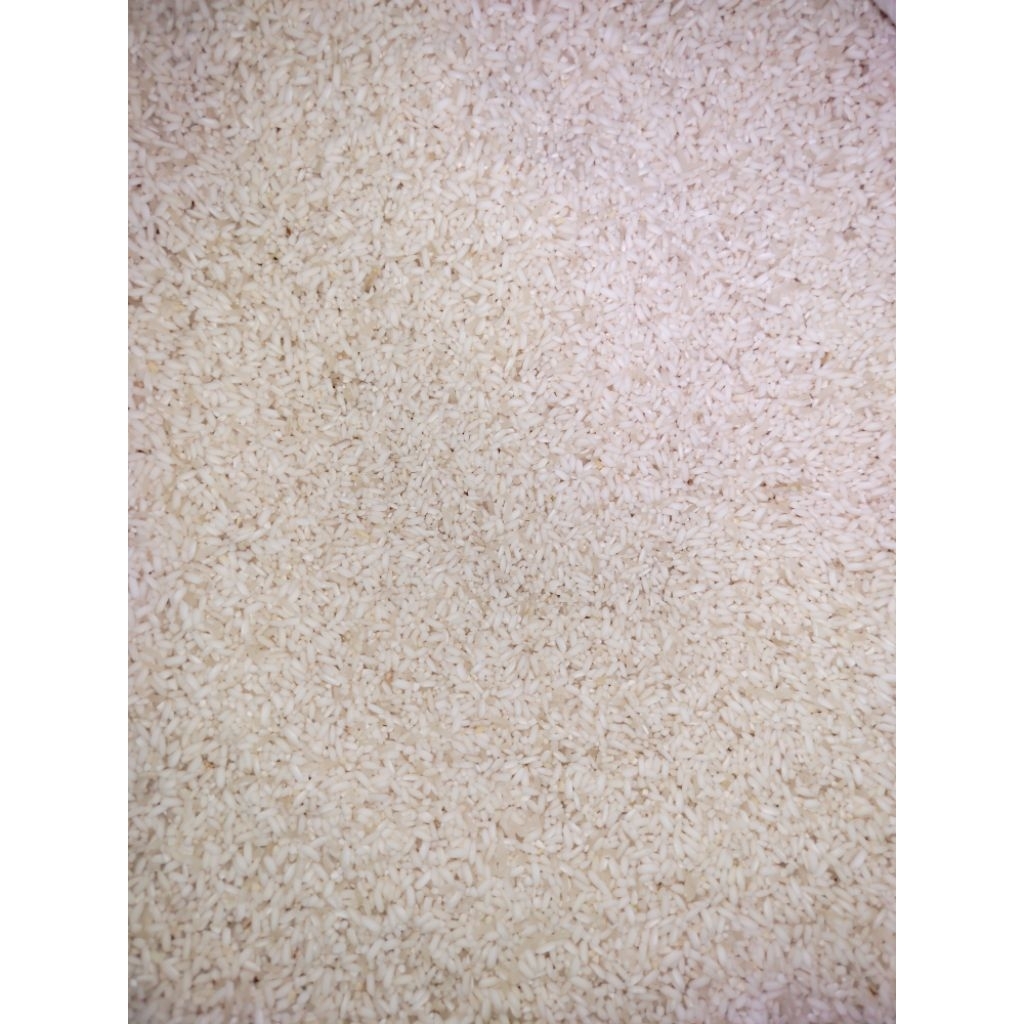 

[Bismillah bijaahi Rosulillah] BERAS KETAN DIJUAL KILOAN