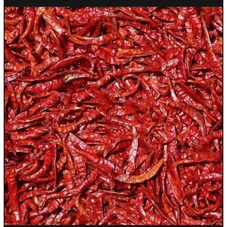 

cabe teja kering 500 gram