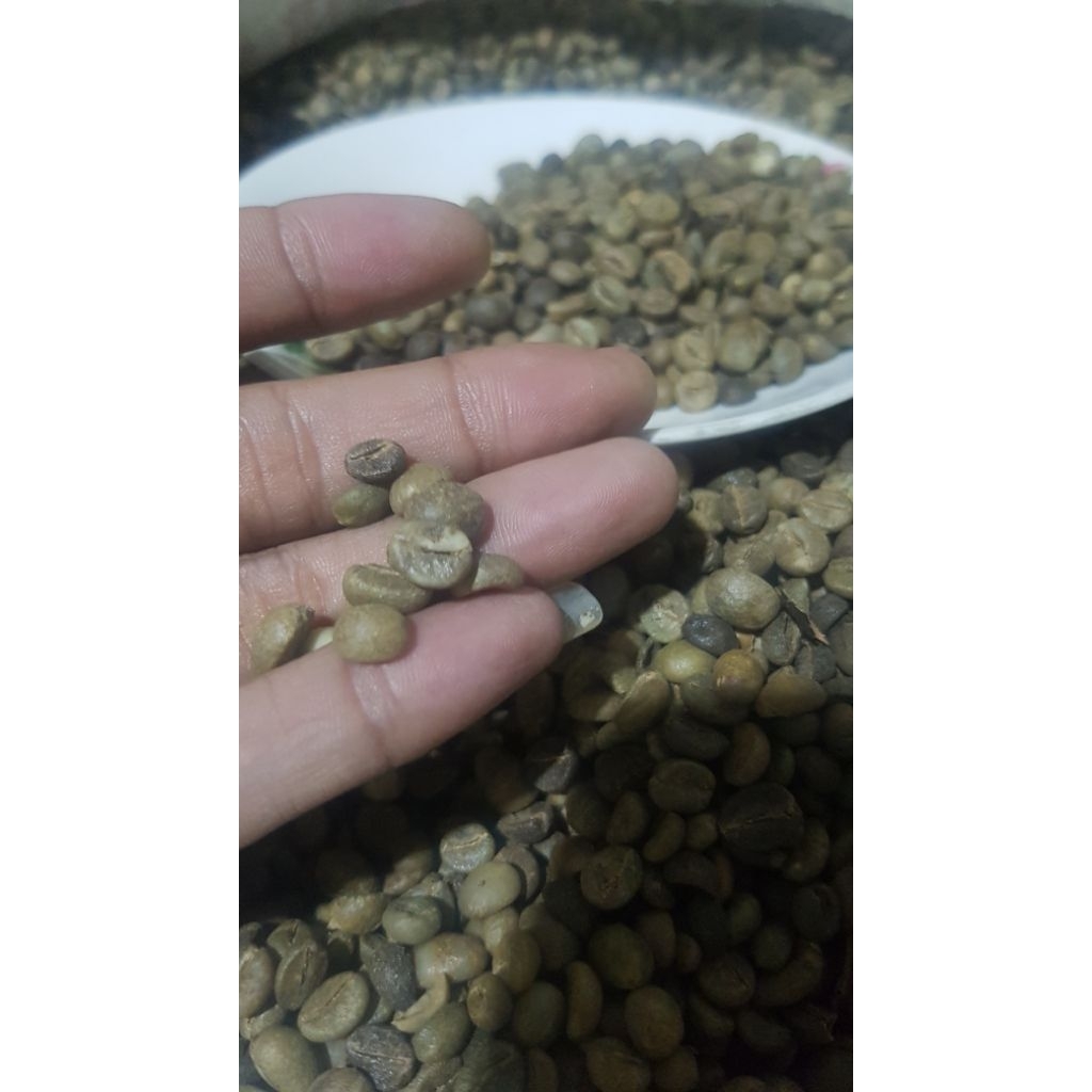 

Green Bean Robusta Purbalingga Asalan 1kg