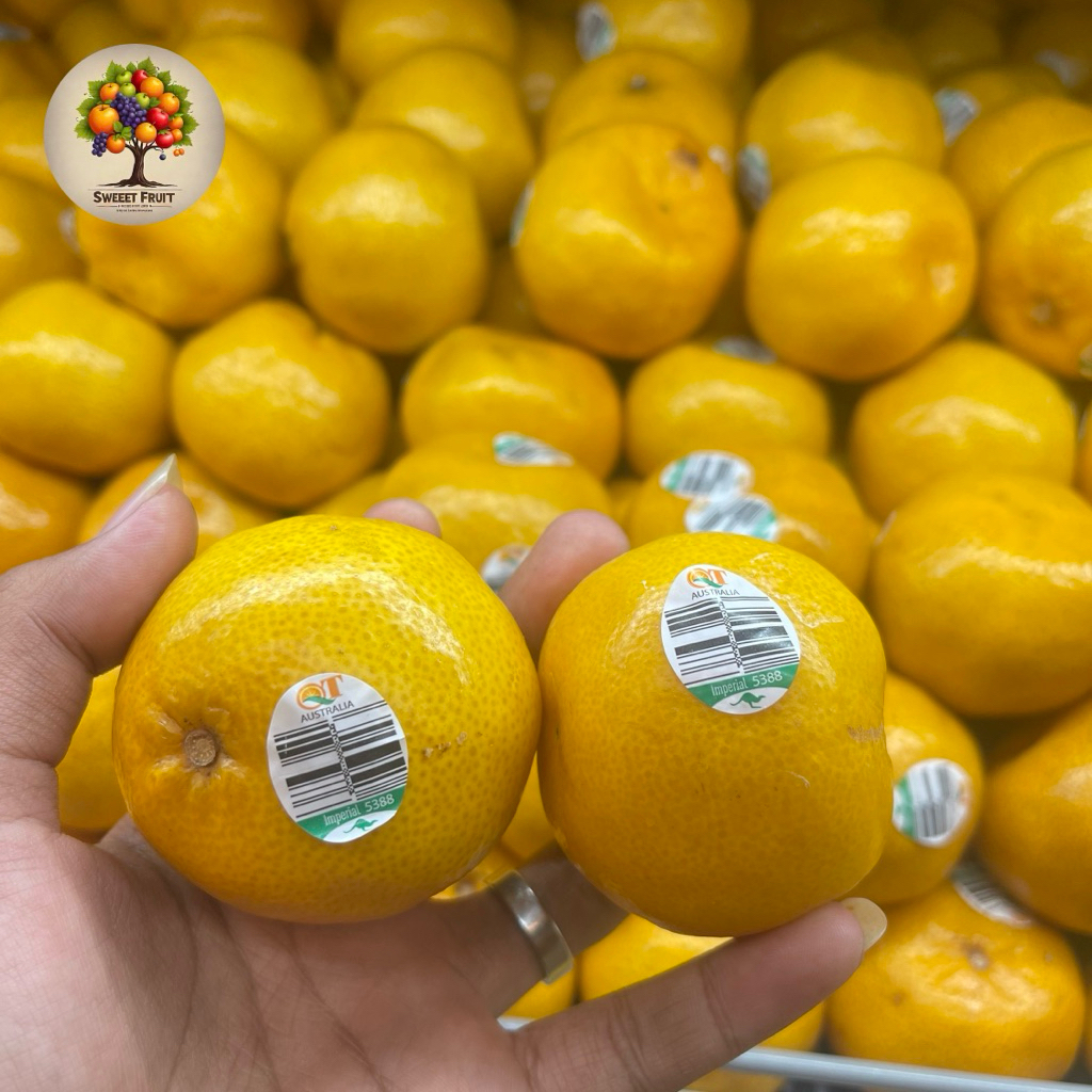 

Jeruk Imperial Australia | Jeruk Imperial Seedless 1kg