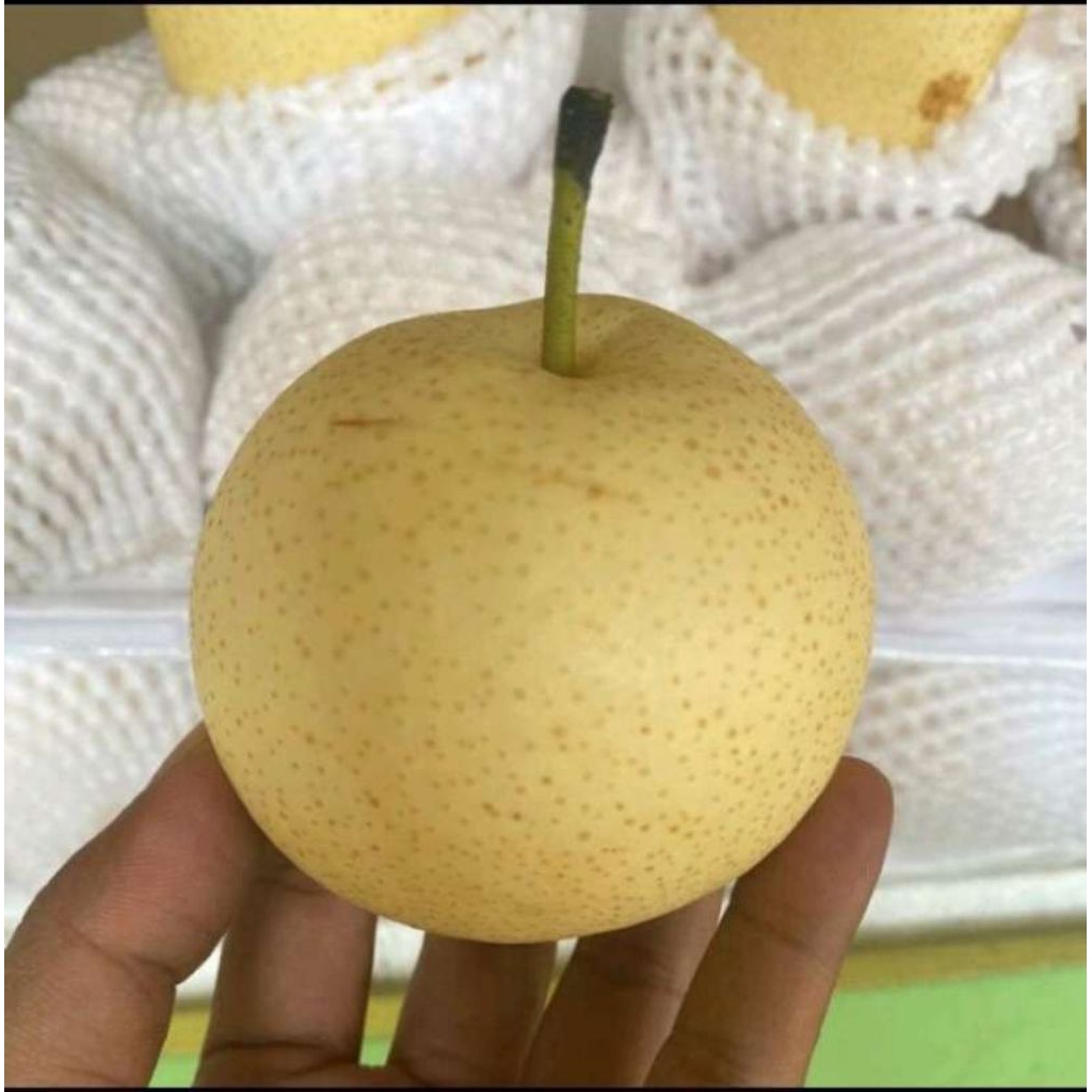 

pear madu