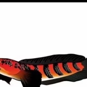 

MINYAK GORENG RED SENTARUM KUALITAS 14/16