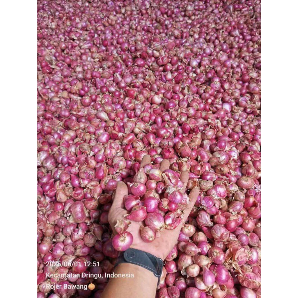

Bawang Merah Super 1 Kg