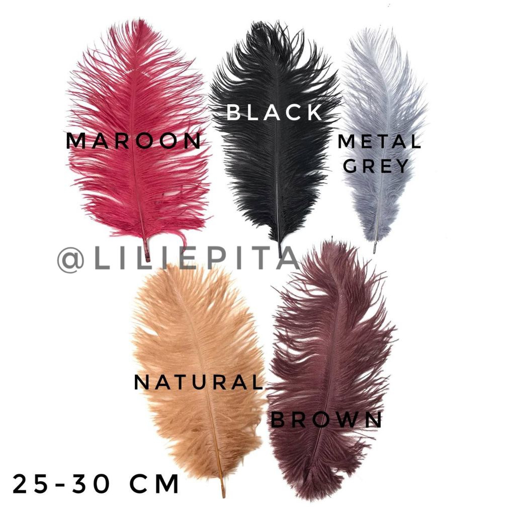 PER 1 HELAI - SIZE 25CM - 30CM / BULU DEKORASI BIJIAN/ BULU OSTRICH BIJIAN/ BULU HIASAN
