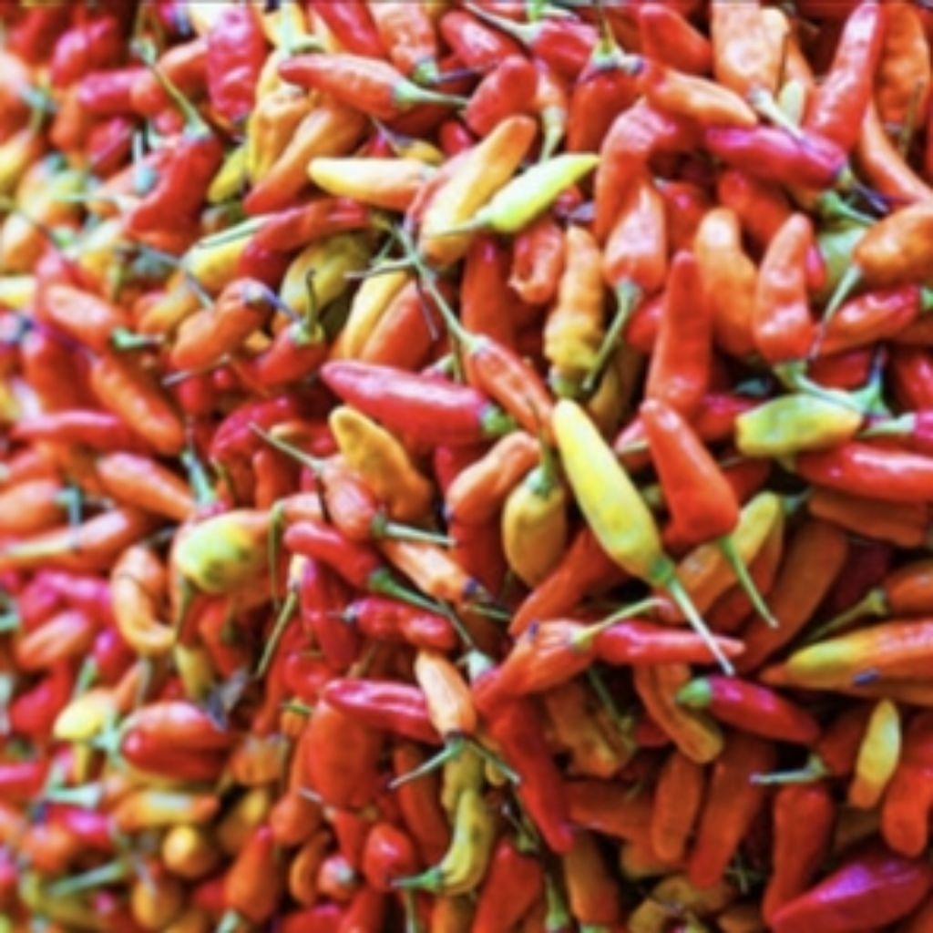 

Cabe Rawit Merah Seger Berat Bersih 1Kg / Tanpa Busuk