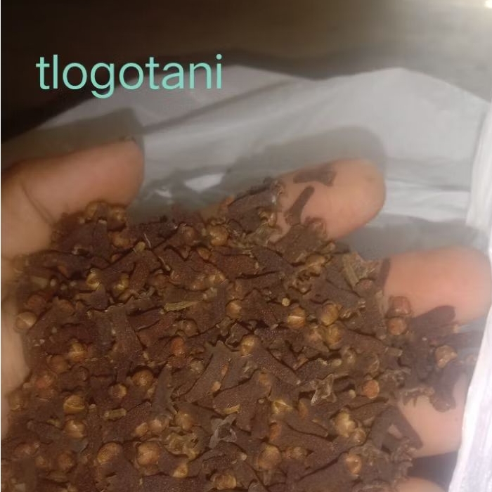 

cengkeh kering 100g