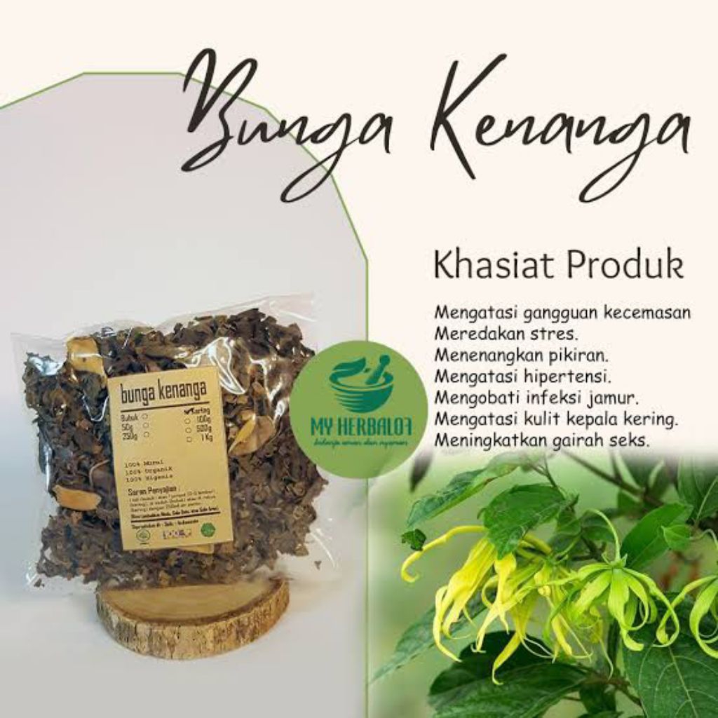 

Bunga kenanga kering - obat herbal - tanaman tradisional