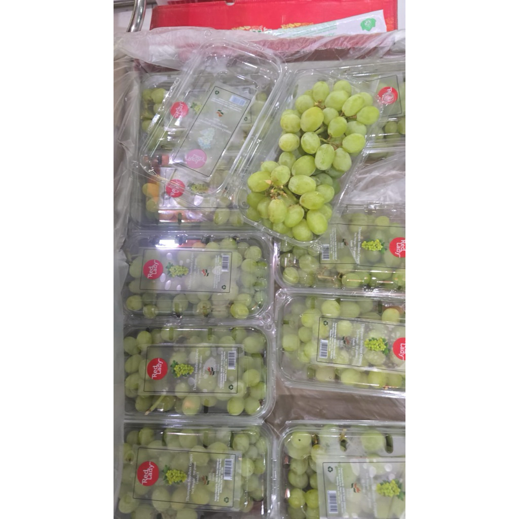 

(instan same day delivery) tampa biji 500gr anggur hijau stella bella autum crisp tanpa biji premium per pack import stella bella aussie berat buah anggur hijau