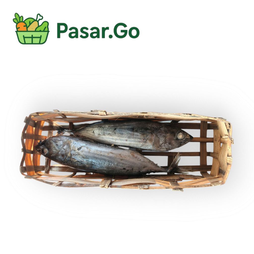 

pindang tongkol putih/cakalang besar