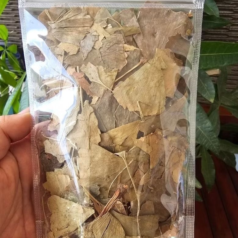 

Daun Ginkgo Biloba Kering 50 gram - Teh Gingko Biloba