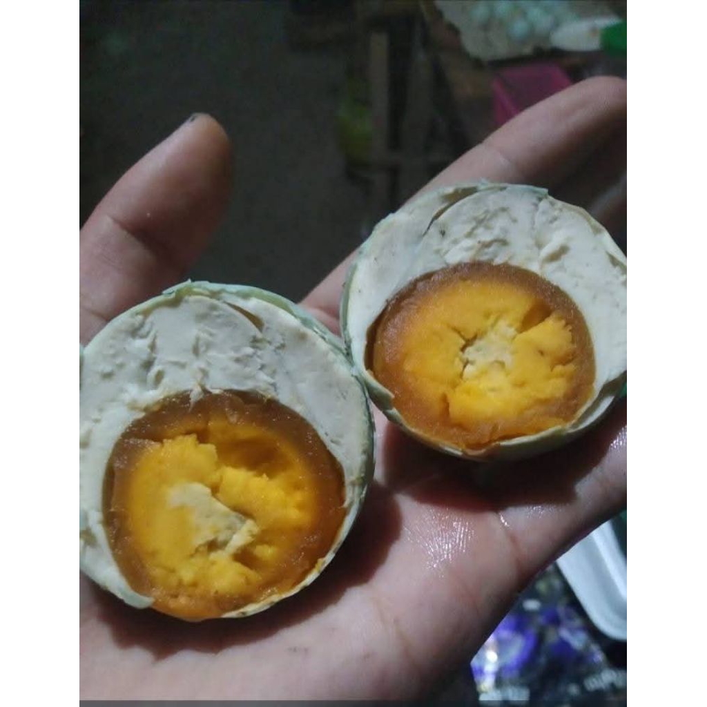 

Paket Telur Asin Bebek Original isi 10 butir Telur Bebek