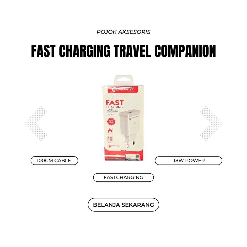 Charger Life Future LF-C301