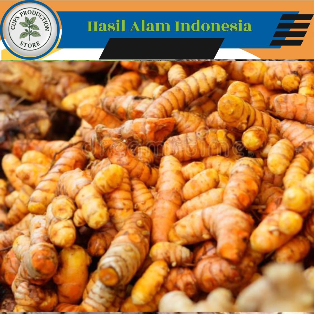 

KUNYIT SAYUR /KONENG Segar 1 Kg Fres Langsung dari Kebun