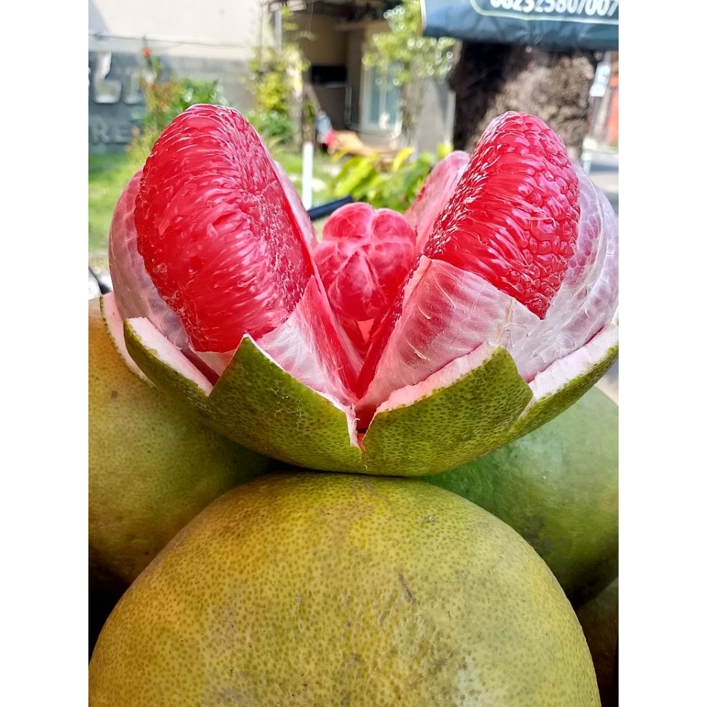 

jeruk Bali besar manis