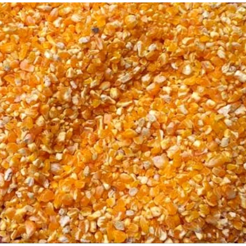 jagung giling 1kg , jagung giling hancur