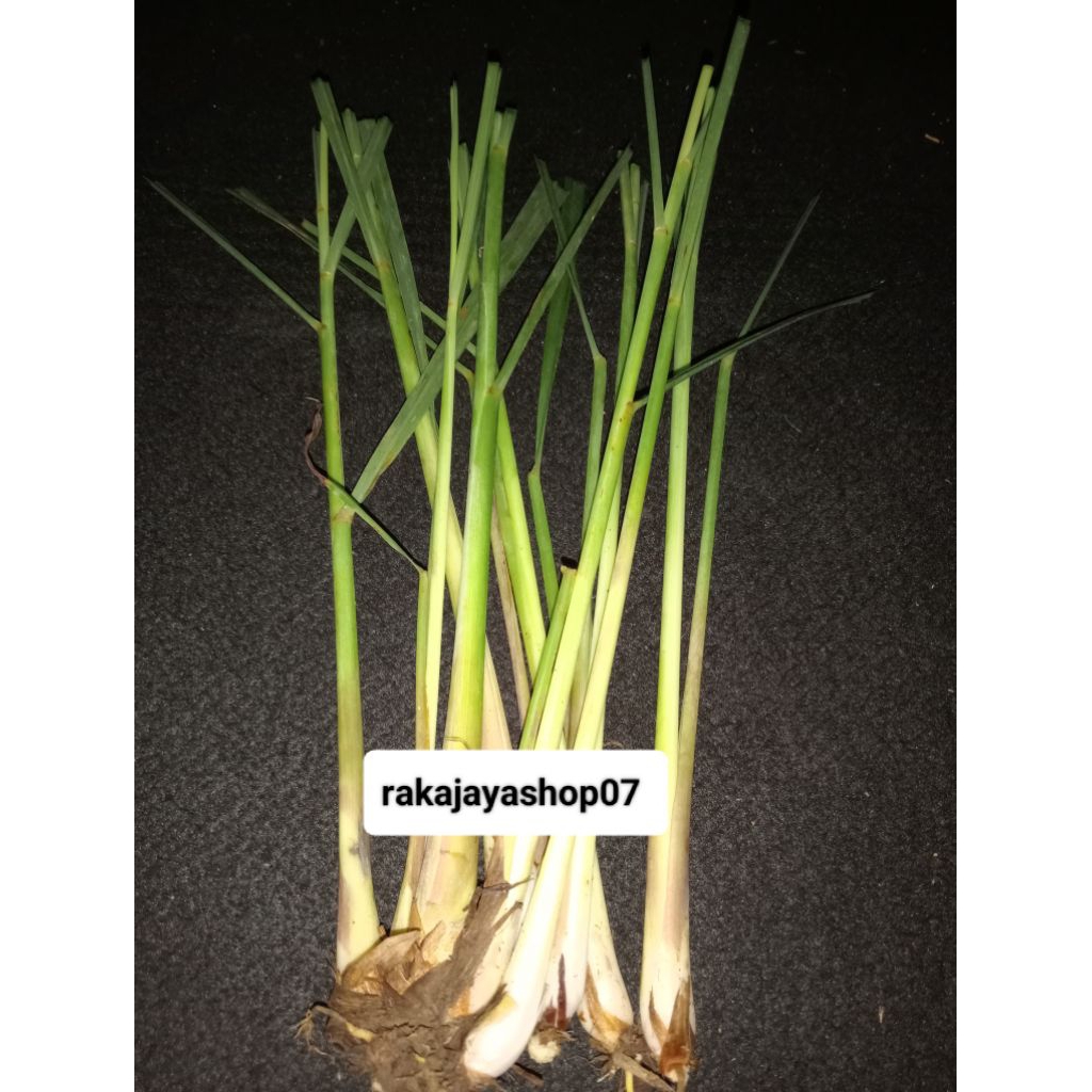 

serai rempah per 500 grm