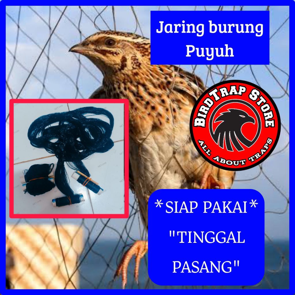 Jaring burung puyuh siap pakai panjang 5 meter, jebakan burung puyuh, perangkap burung puyuh, jala b