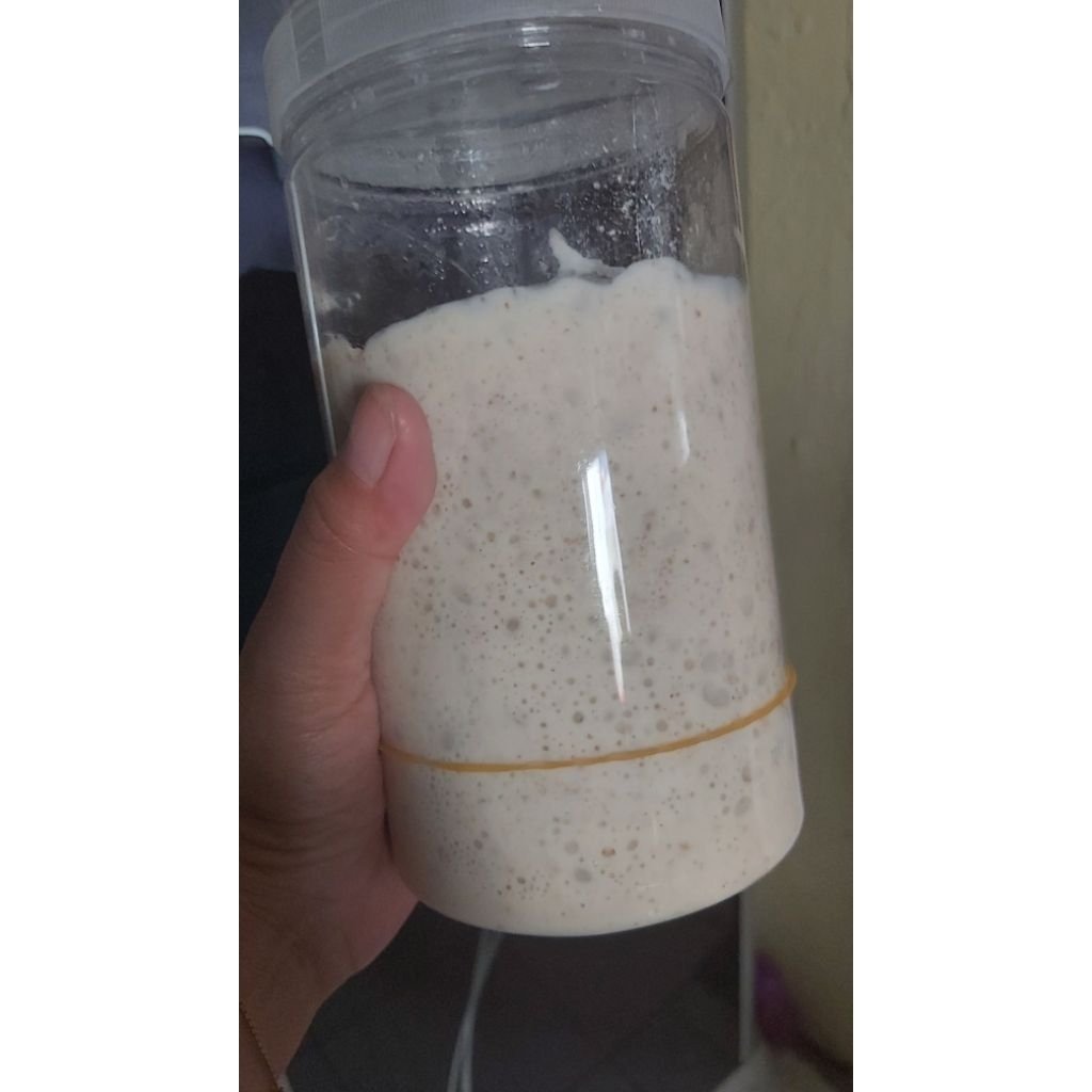 

Starter Sourdough Aktif 50 gram