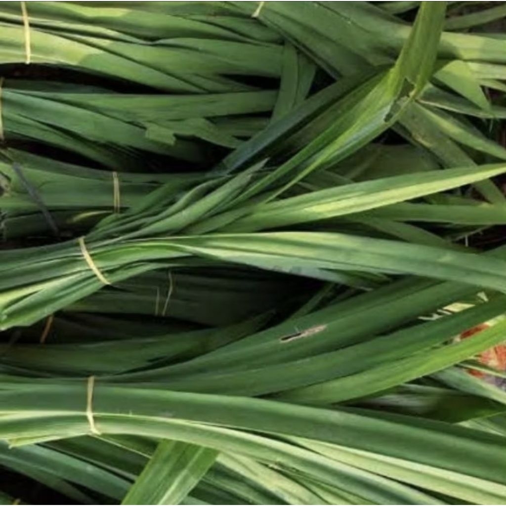 

Daun pandan _ 1 ikat