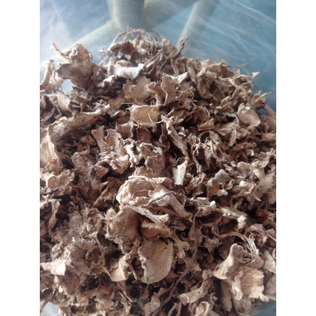

kunyit putih iris kering 500 gram