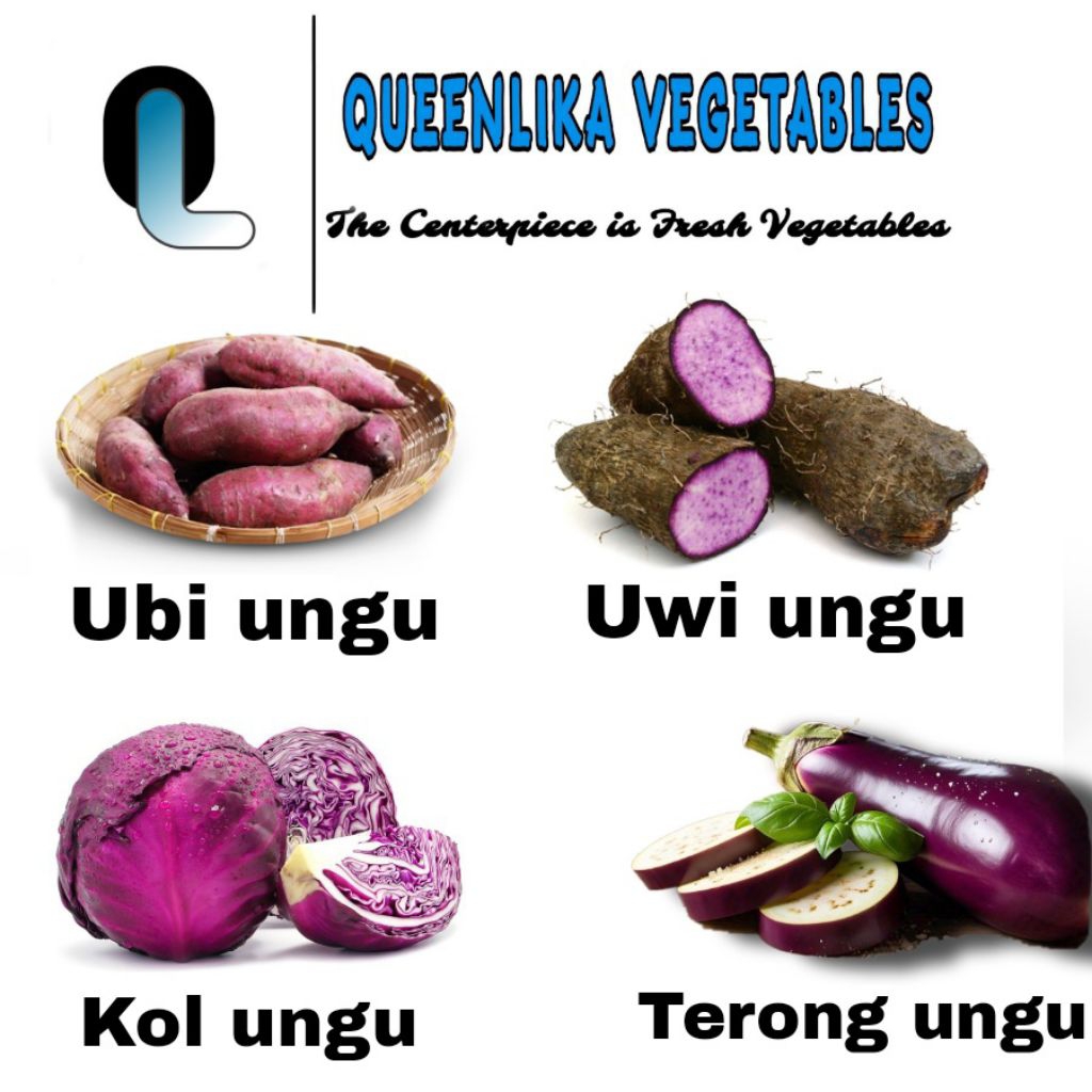 

Menu sehat uwi ungu / kol ungu / ubi ungu / terong ungu 1 kg Segar