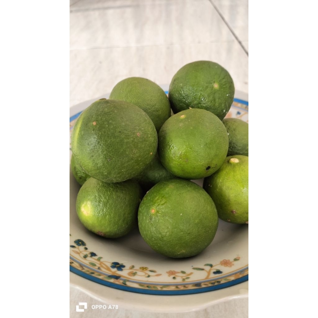 

jeruk nipis segar baru dipetik per kg
