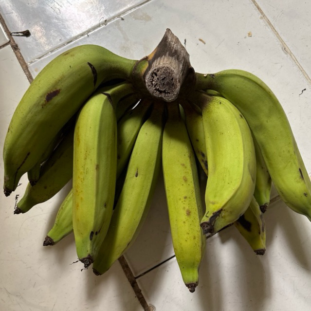 

Jual Pisang Nangka Murah 1 Sisir | +- 2 Kg |