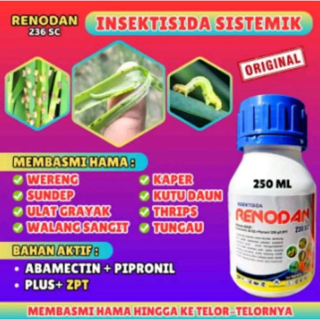 INSEKTISIDA RENODAN BASMI HAMA WALANG SANGIT, WERENG, DLL