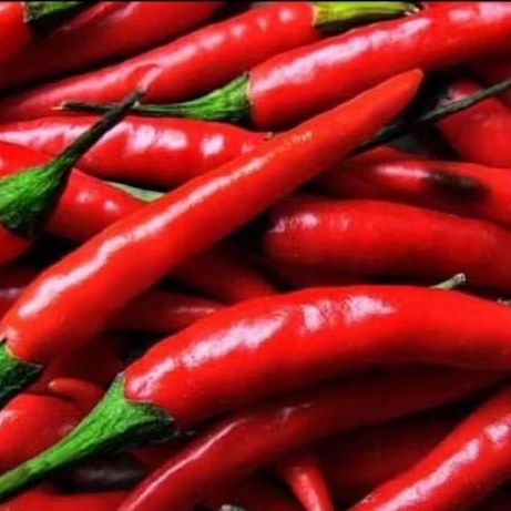 

Cabe Merah Besar 250 gram