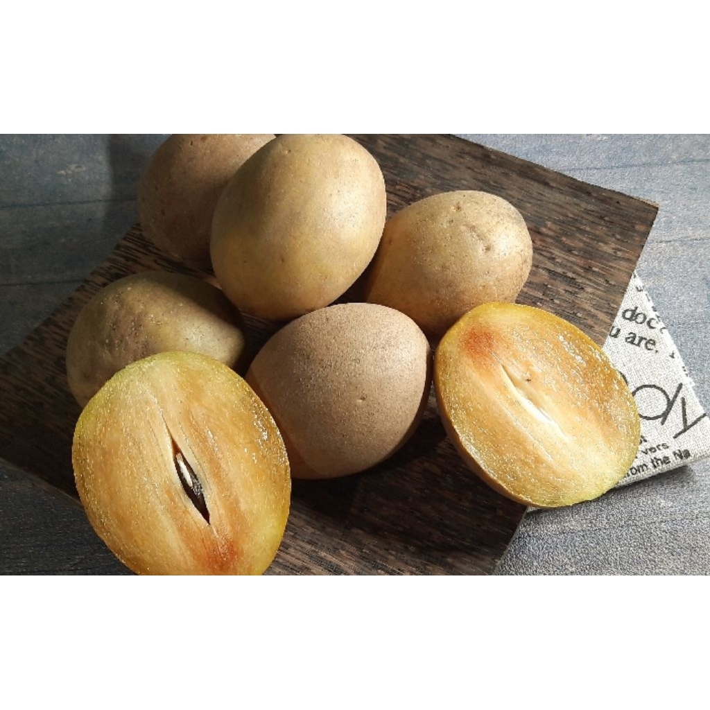 

sgn25 - buah sawo manis mentah 1kg