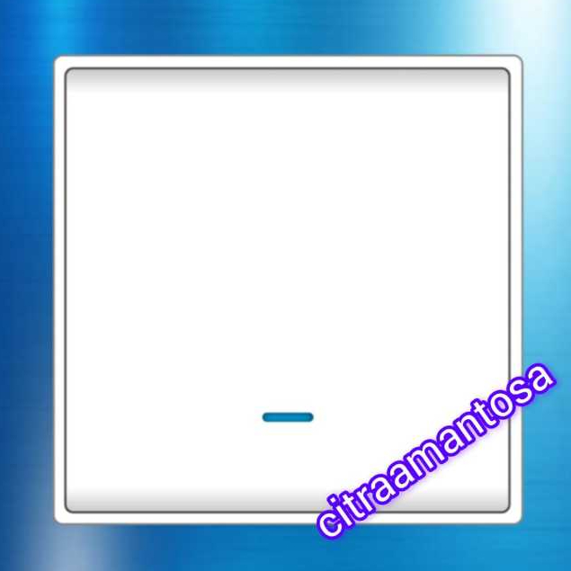 BOSS B5031/1/2EB 1G1W & B5031/2/3EB - 1G2W switch with Blue LED Indicator